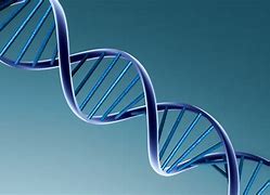 Image result for DNA Double Helix Wallpaper