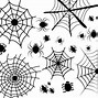 Image result for Spider Web Vector