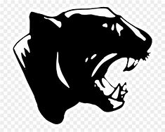 Image result for Panther Head