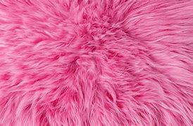 Image result for Pink Fur Texture