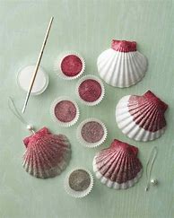 Image result for Crafts Using Shells