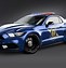 Image result for Qld Police Mustang