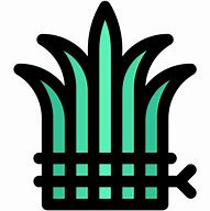 Image result for Chives SVG