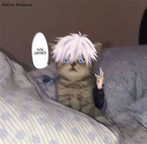 Image result for El Gato Gojo Meme