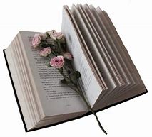 Image result for Book Icon Aesthetic