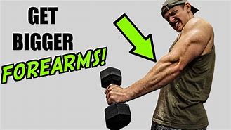 Image result for Forearm Workout Routine