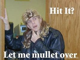 Image result for Funny Mullet Quotes