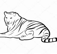 Image result for Tiger Sketch Outline