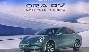 Image result for GWM Ora 07 Performance