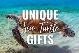 Image result for Sea Turtle Gifts for Men