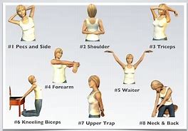 Image result for Shoulder Muscles Stretching