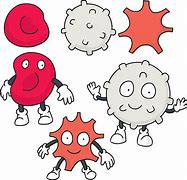 Image result for Blood Cells Clip Art