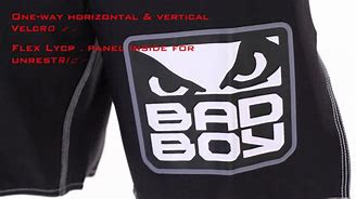 Image result for Bad Boy MMA Logo