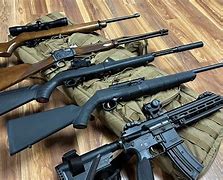 Image result for 22LR Service Rifle