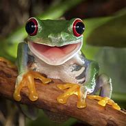 Image result for F-NaF 2 Happy Frog