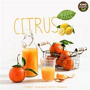 Image result for Citrus Juice