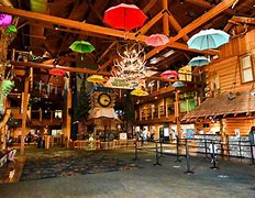 Image result for Great Wolf Lodge Concord