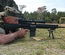 Image result for SR-25 vs M110