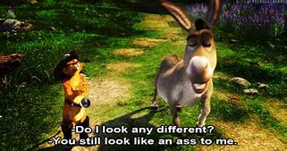 Image result for Shrek Donkey All Alone GIF