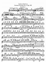 Image result for Beethoven Leonore 1 IMSLP