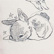 Image result for Rabbit Laying Drawing