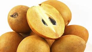 Image result for Petik Buah Sawo