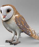 Image result for Powerful Owl Side of Wings