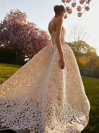 Image result for Oscar Gowns