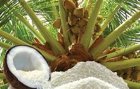 Image result for Coconut Triangle Sri Lanka