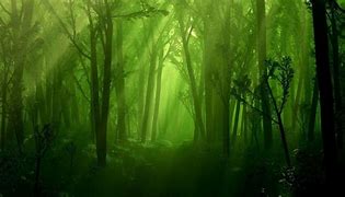 Image result for Dark Forest Background Art