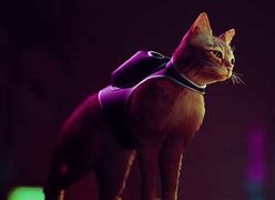 Image result for PS2 Cat Gamr