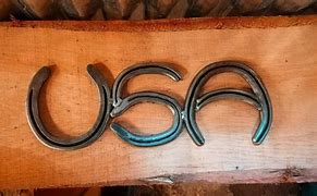 Image result for Horseshoe Metal Art