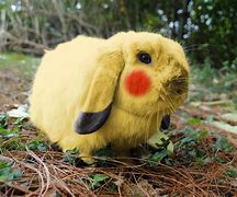 Image result for Pikachu Bunny