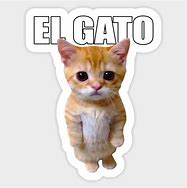 Image result for El Gato Gojo Meme