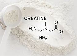 Image result for Creatine Energy System