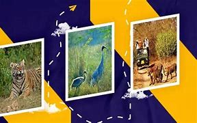 Image result for Sariska Wildlife Sanctuary Map