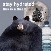 Image result for Hydrated Mind Your Business Meme