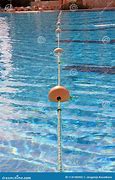 Image result for Pool Rope Floats