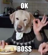 Image result for Okay Boss Meme