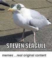 Image result for Seagull Meme Christmas