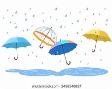 Image result for Rainy Day Back Yard