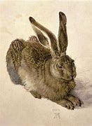 Image result for Young Hare Copy