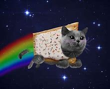 Image result for Space Cat Meme