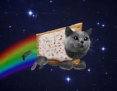 Image result for Outer Space Cat Meme