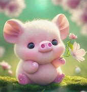 Image result for Pig Snout Cute