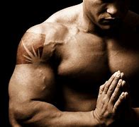 Image result for Build Muscle