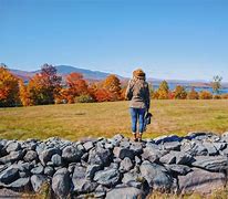 Image result for Fall Road Trip