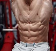 Image result for Serratus Body Builder