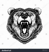 Image result for Black Bear Head White Background