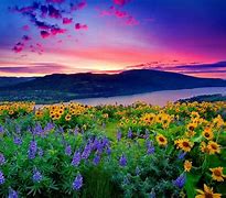 Image result for Breathtaking Scenery Peaceful